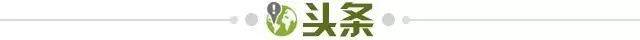 1743725034761040261.jpg 头条.jpg